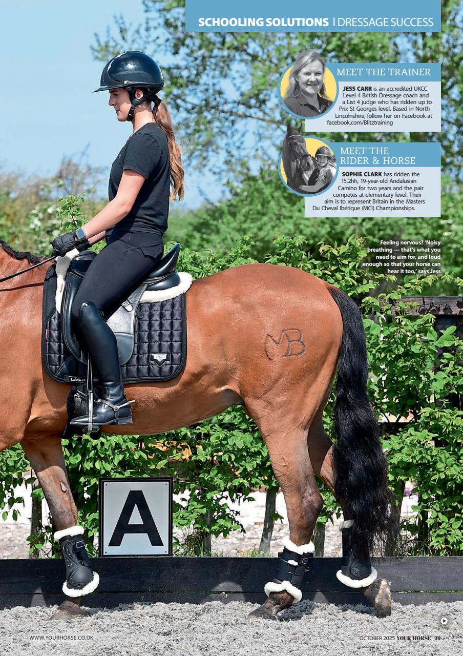 Your Horse Preview Pages