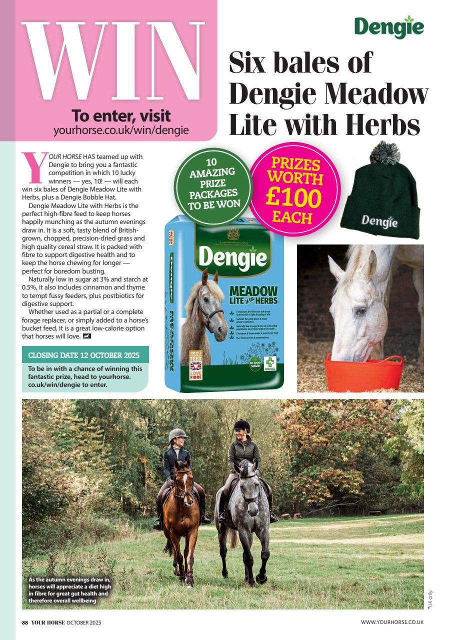 Your Horse Preview Pages