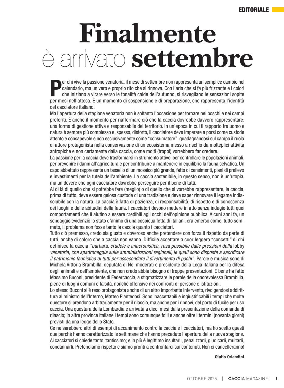 Caccia Magazine Preview Pages