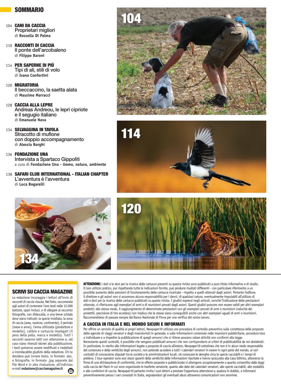 Caccia Magazine Preview Pages