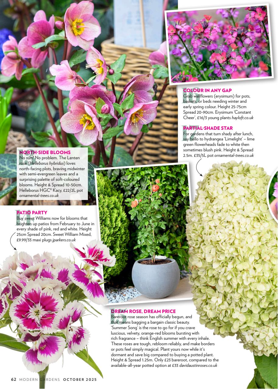 Modern Gardens Preview Pages