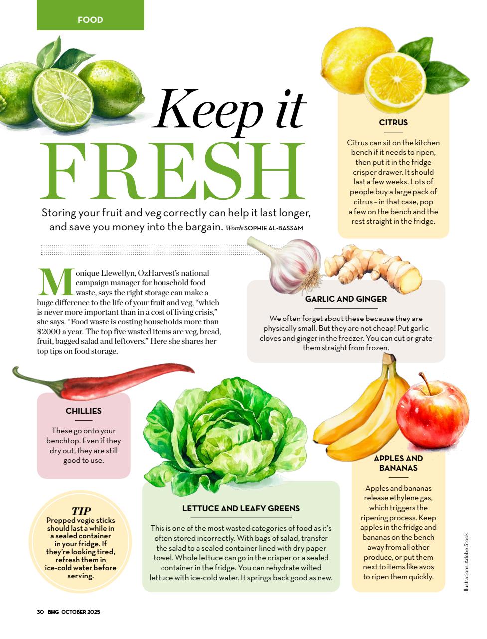 Better Homes and Gardens (Aus) Preview Pages