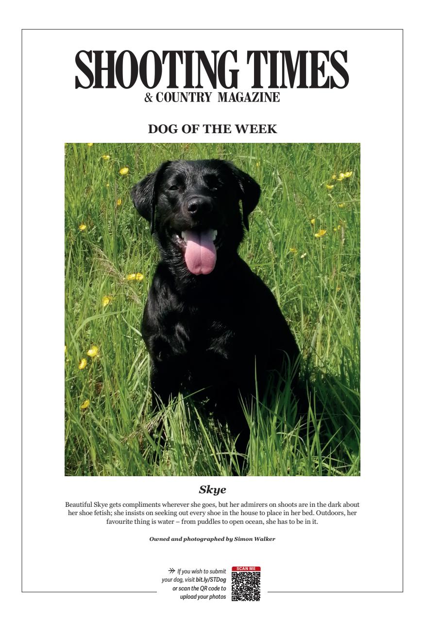 Shooting Times & Country Preview Pages