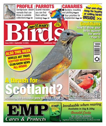 Cage & Aviary Birds Magazine - No.5789 A Secretive Superstar