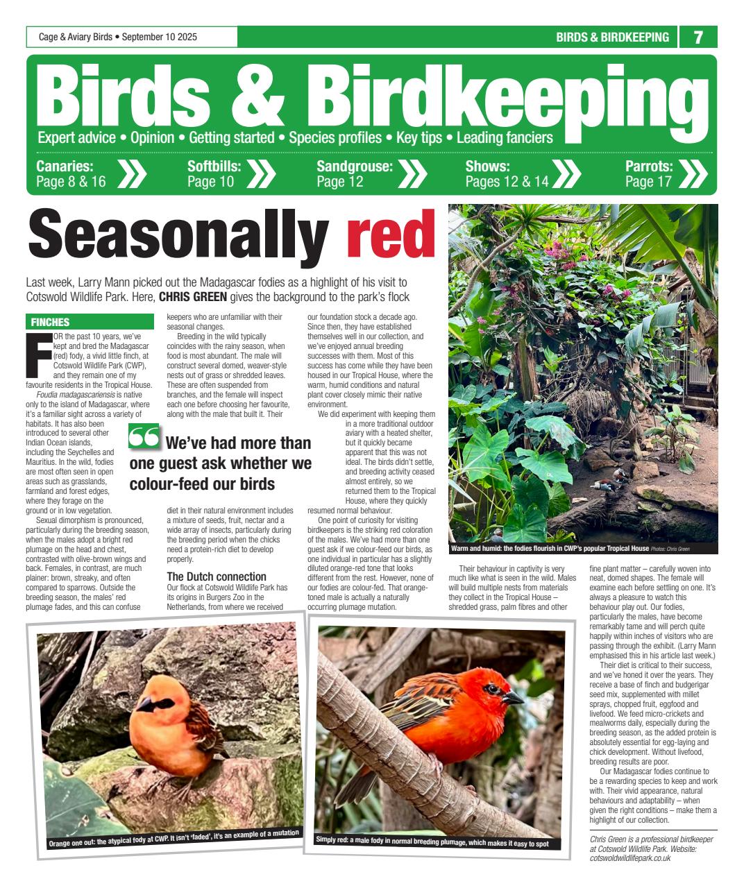 Cage & Aviary Birds Preview Pages