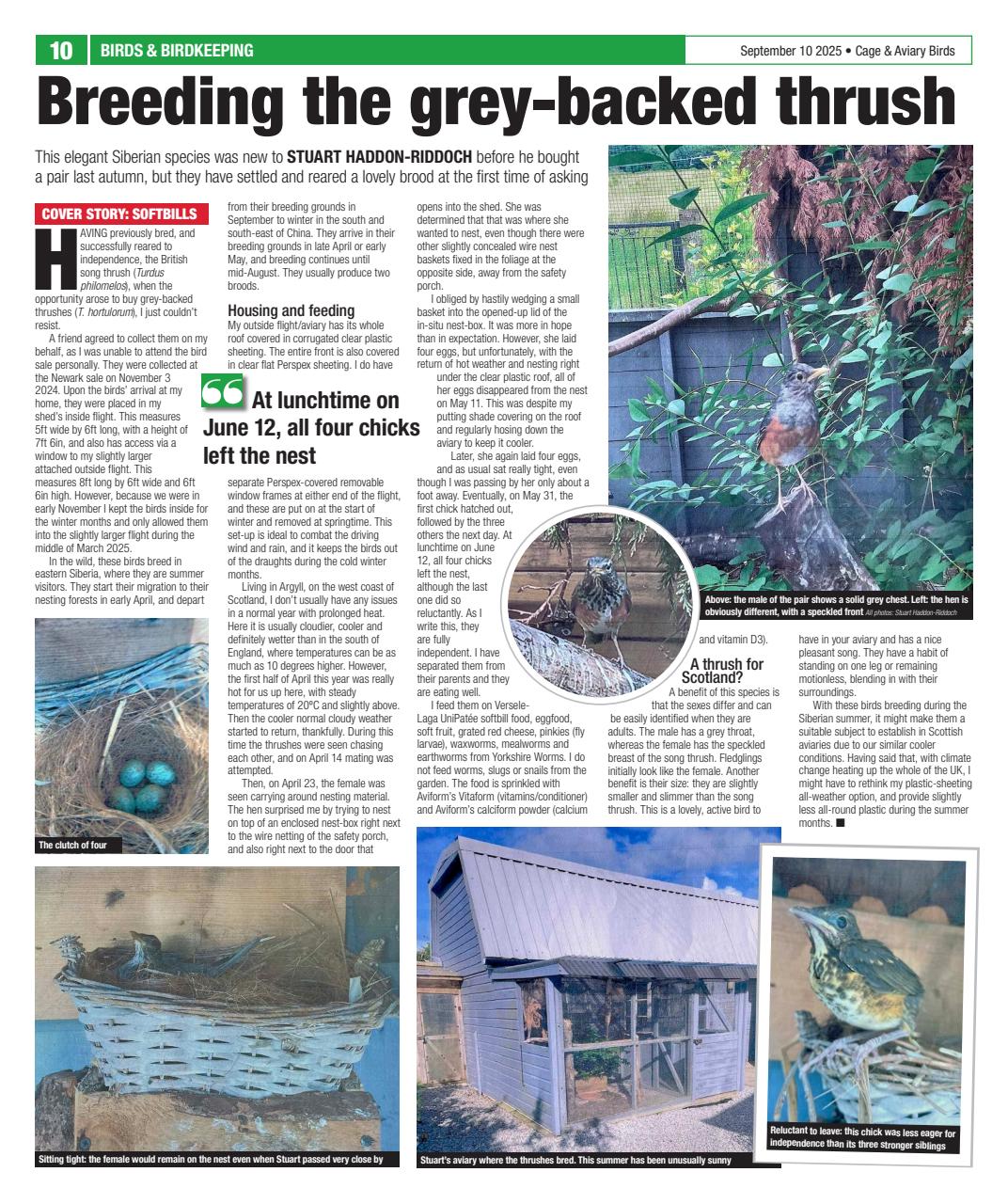 Cage & Aviary Birds Preview Pages