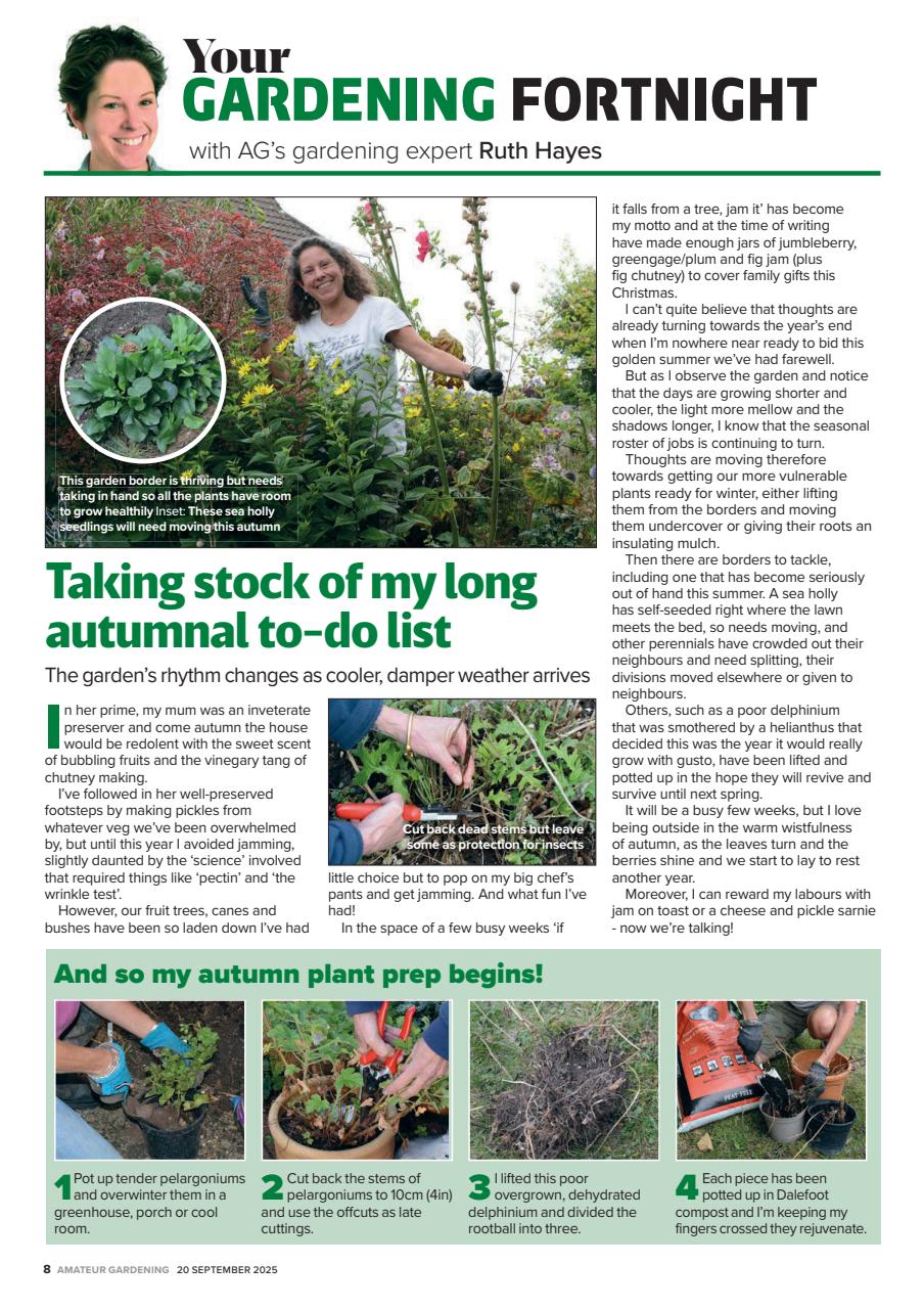 Amateur Gardening Preview Pages