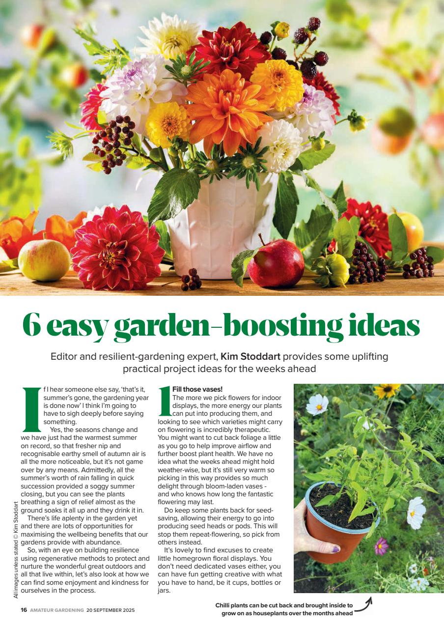 Amateur Gardening Preview Pages