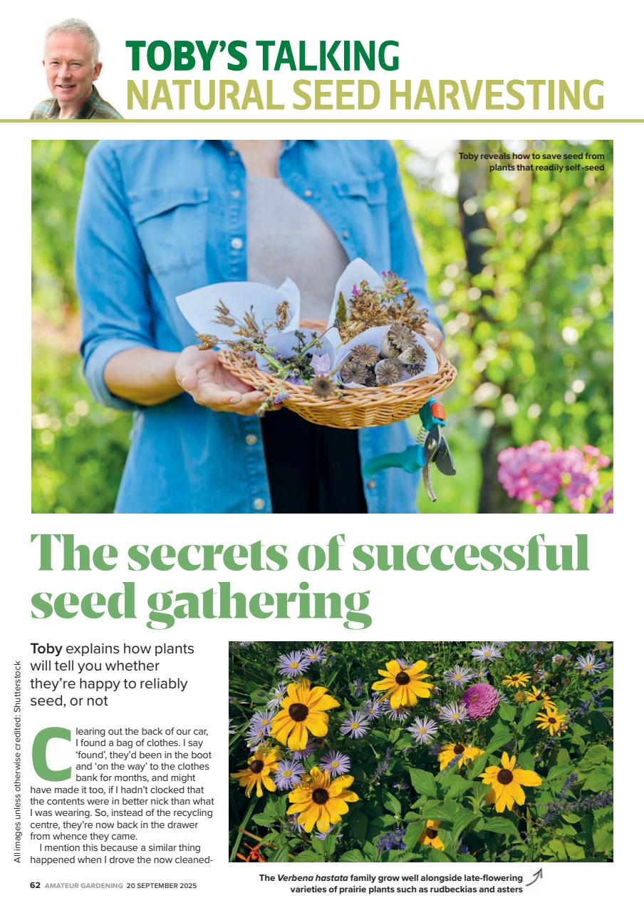 Amateur Gardening Preview Pages