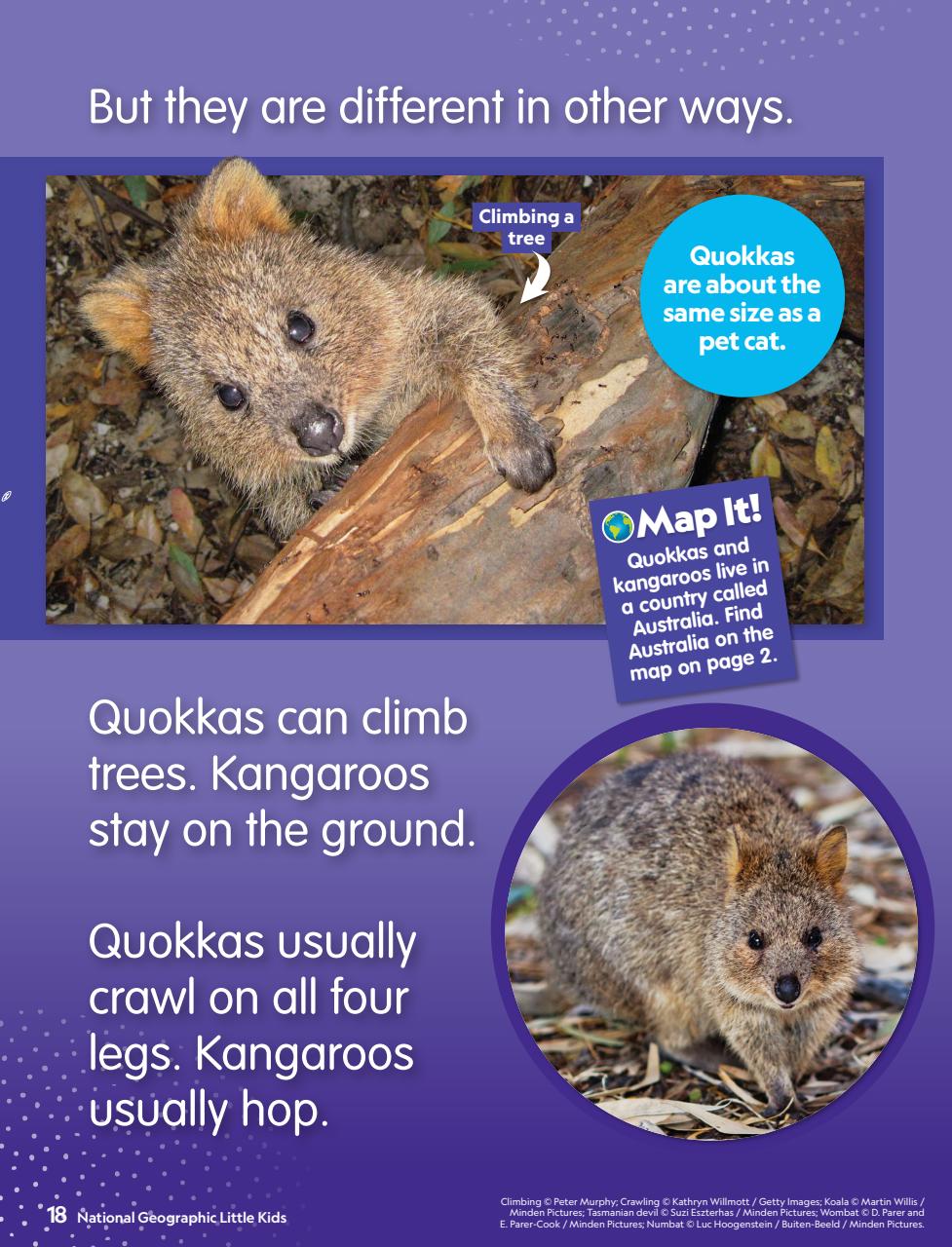 National Geographic Little Kids Preview Pages