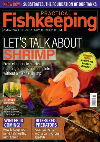 Practical Fishkeeping issue October 2025