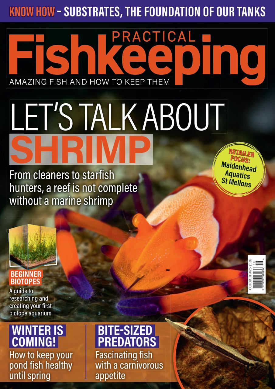 Practical Fishkeeping Preview Pages