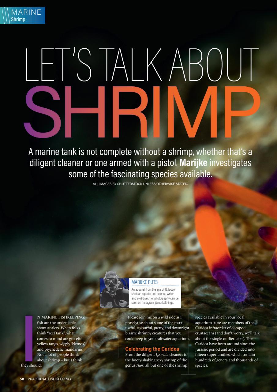 Practical Fishkeeping Preview Pages