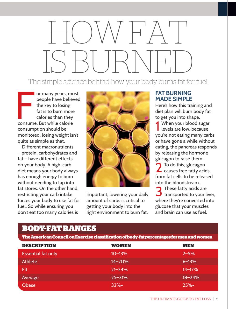 Men’s Fitness Guides Preview Pages