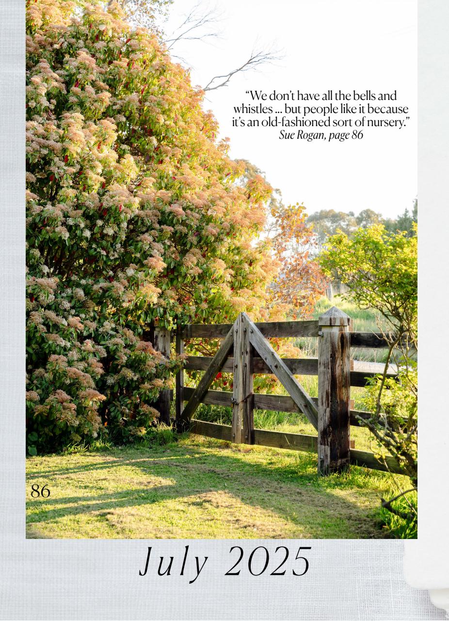 Country Style Preview Pages