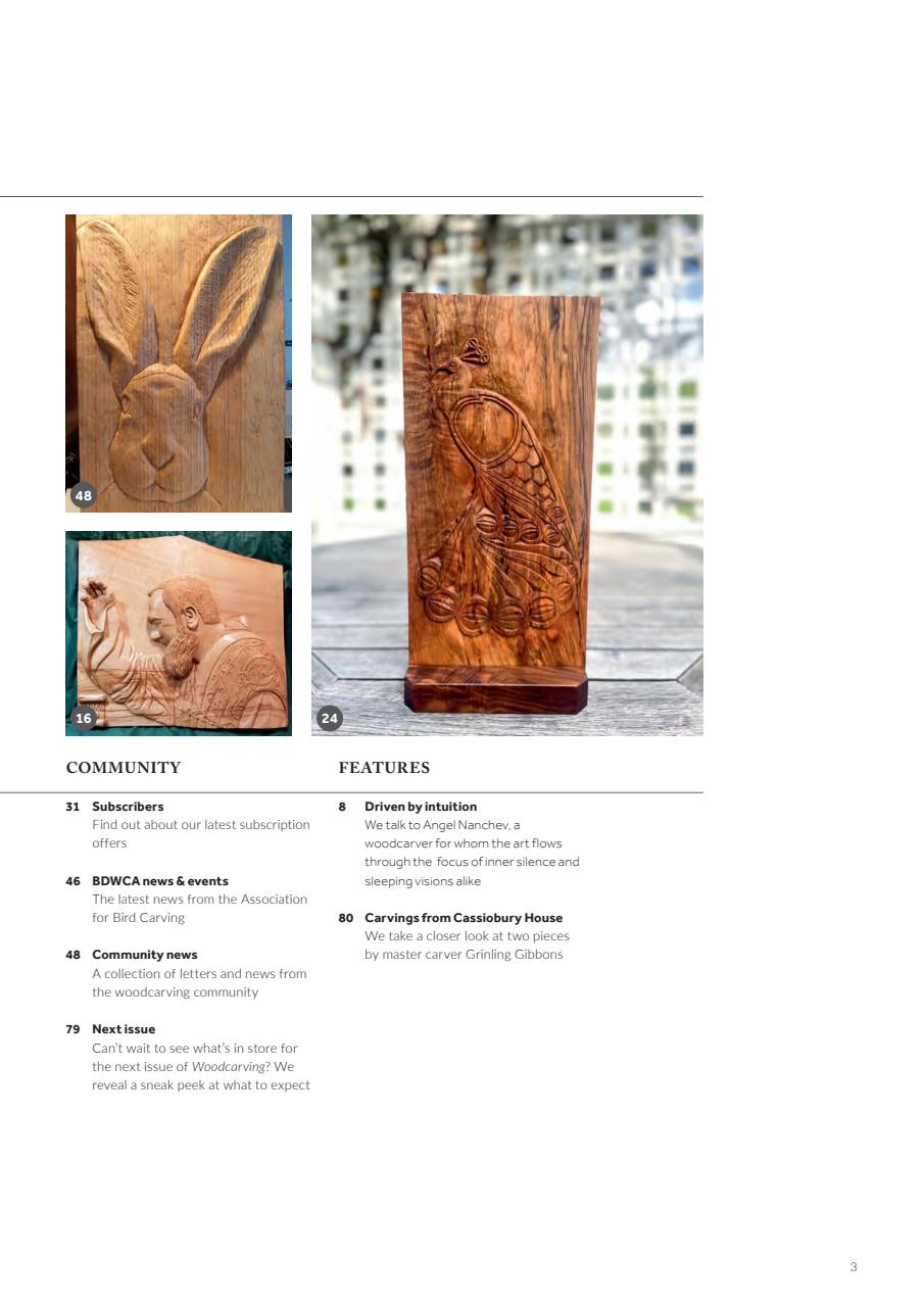 Woodcarving Preview Pages