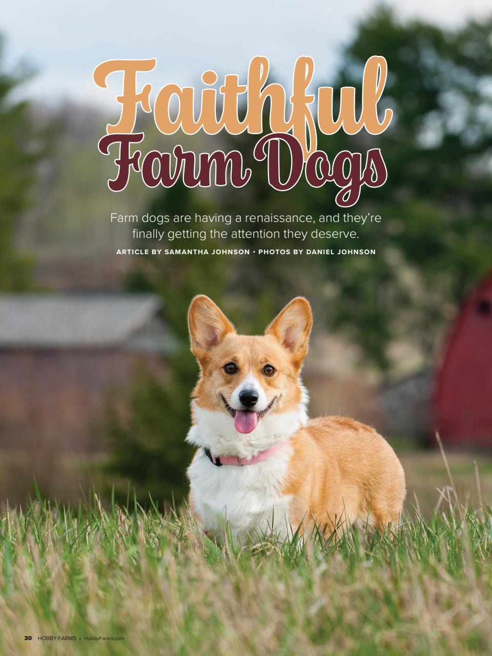 Hobby Farms Magazine Preview Pages