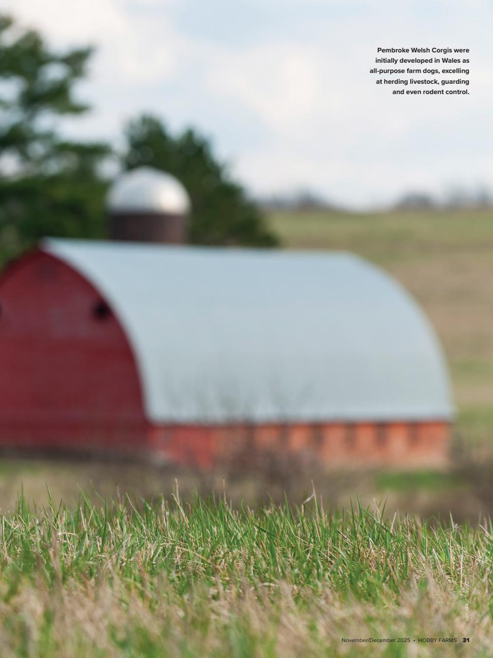 Hobby Farms Magazine Preview Pages