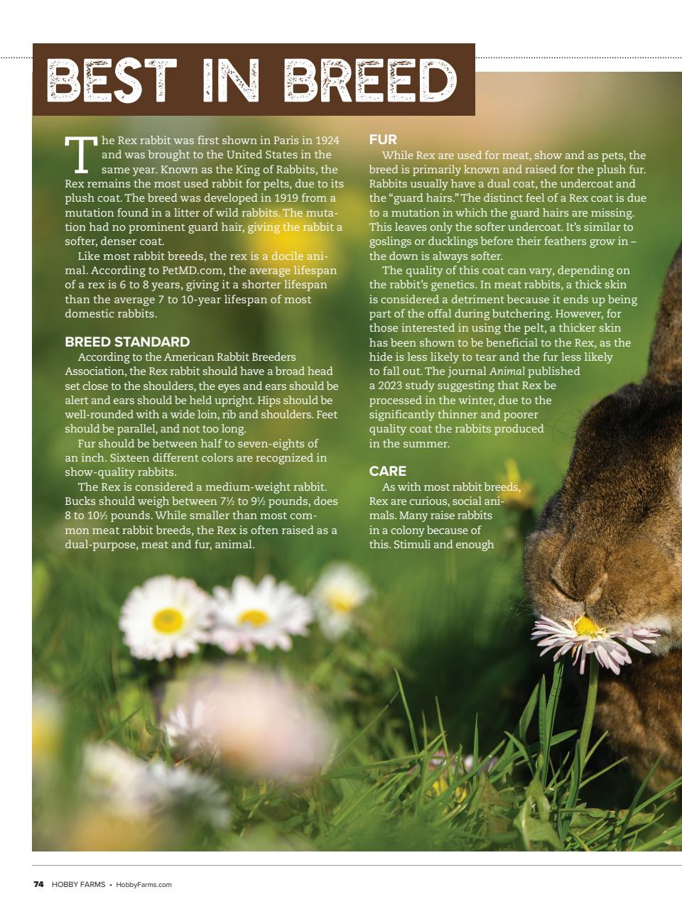 Hobby Farms Magazine Preview Pages