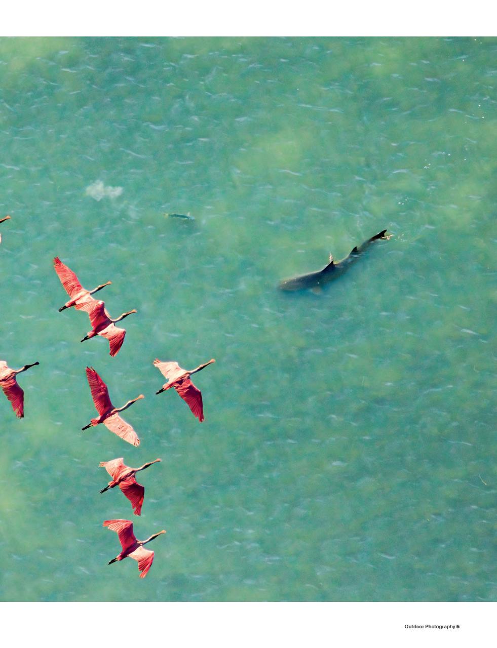 Outdoor Photography Preview Pages