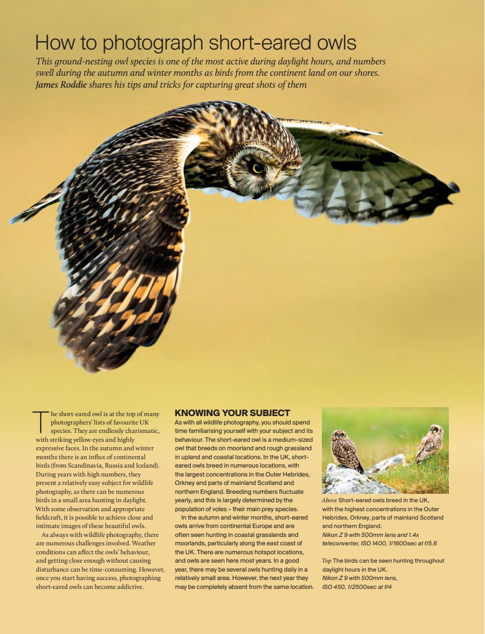 Outdoor Photography Preview Pages