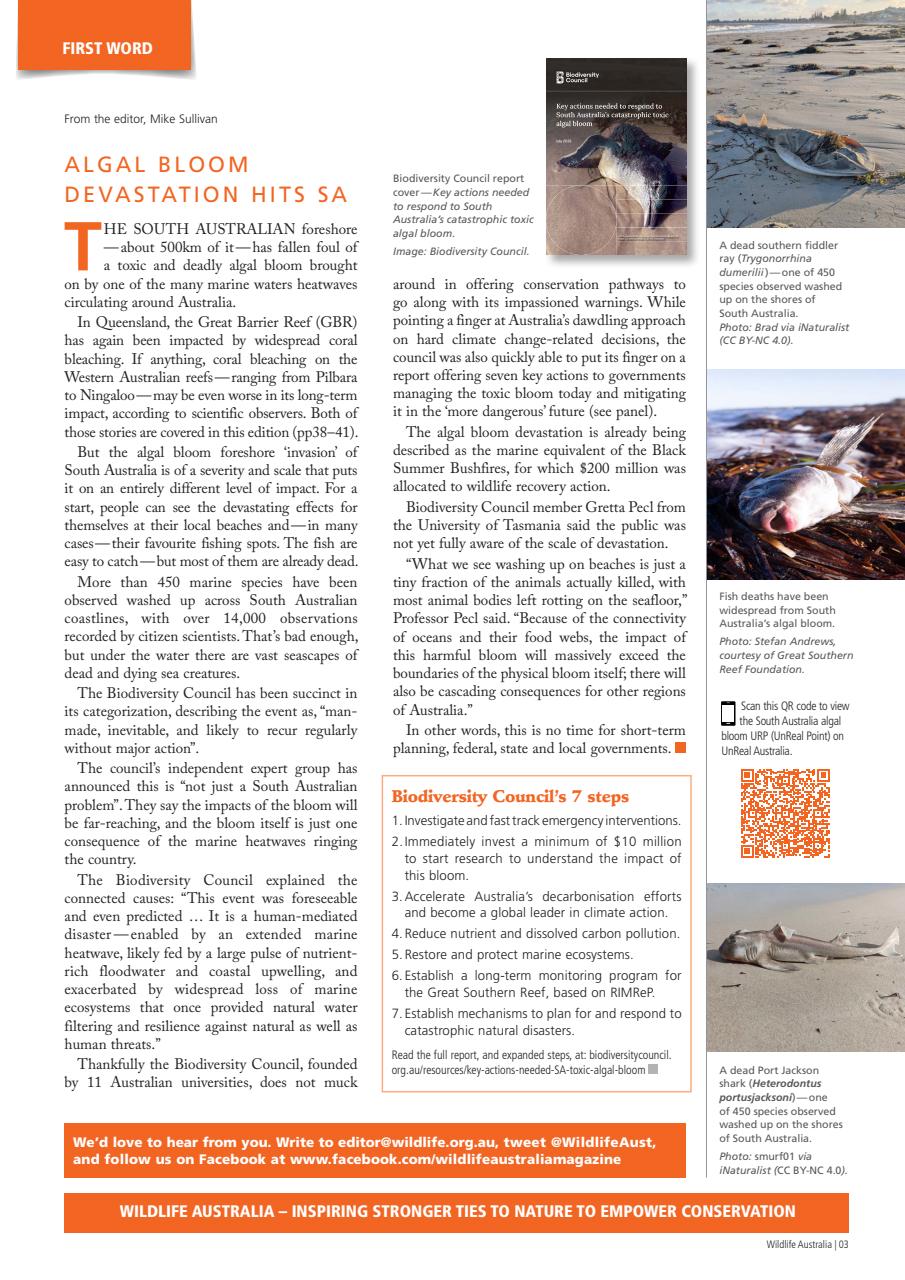 Wildlife Australia Preview Pages