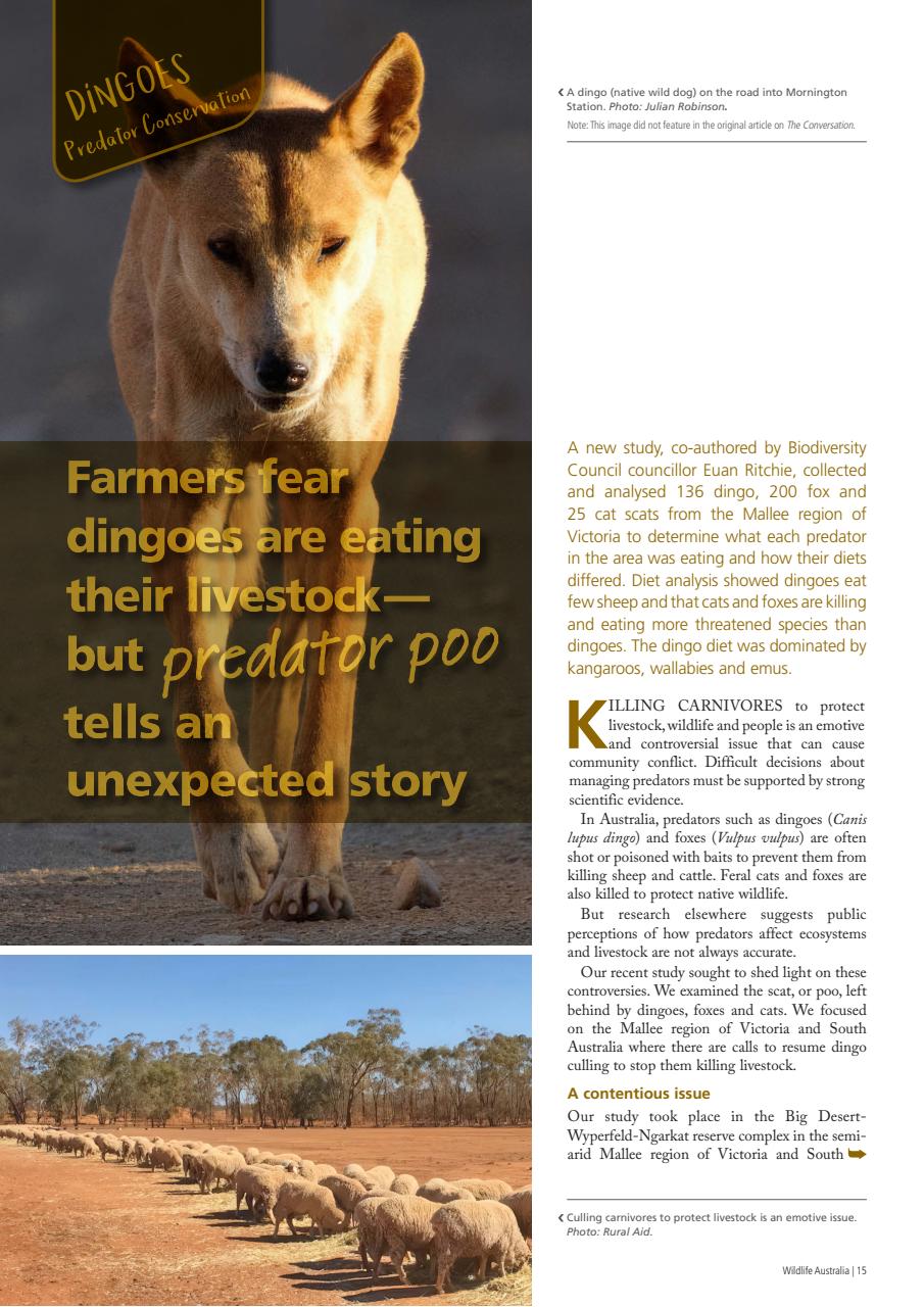 Wildlife Australia Preview Pages