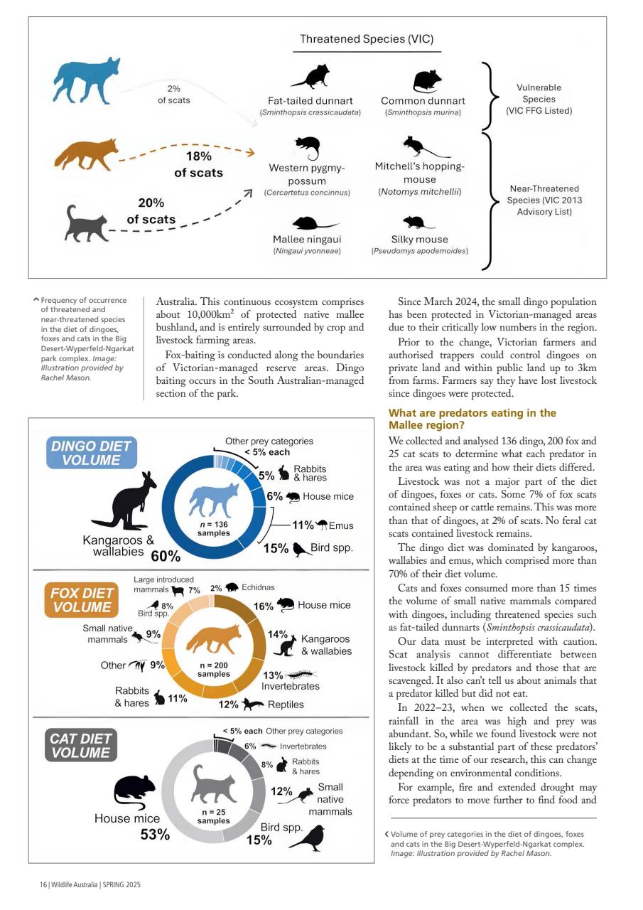 Wildlife Australia Preview Pages
