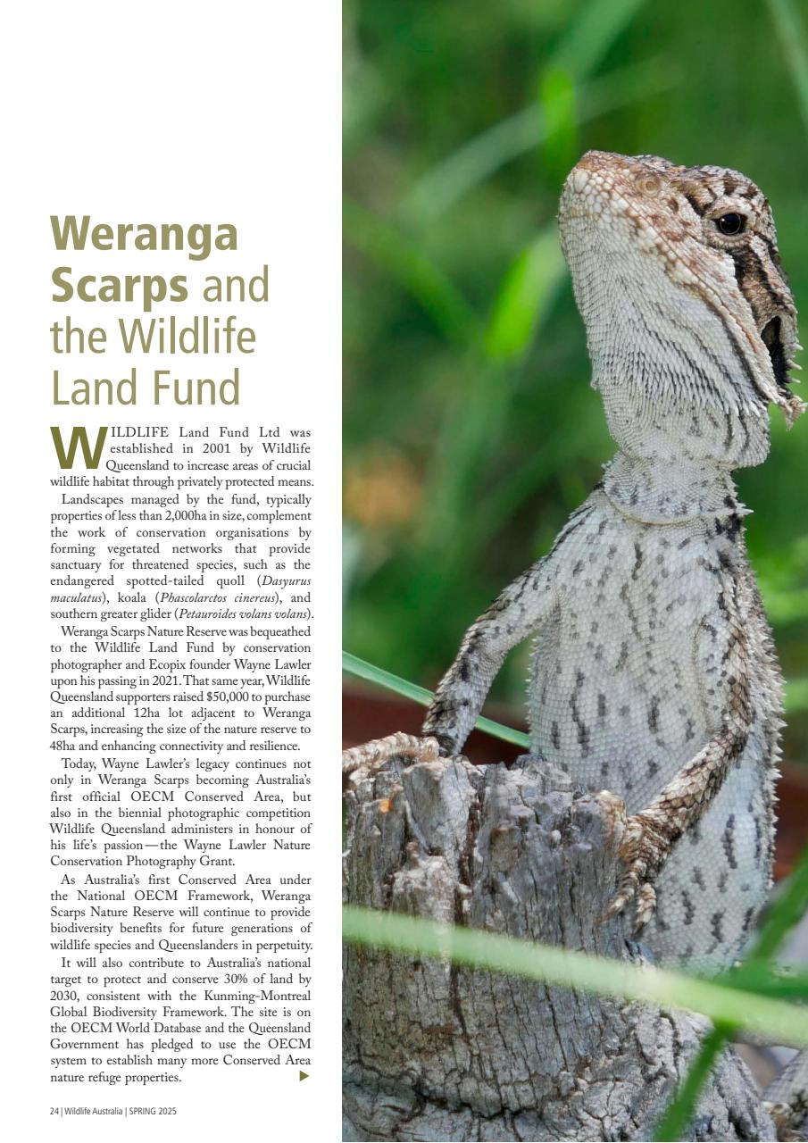 Wildlife Australia Preview Pages