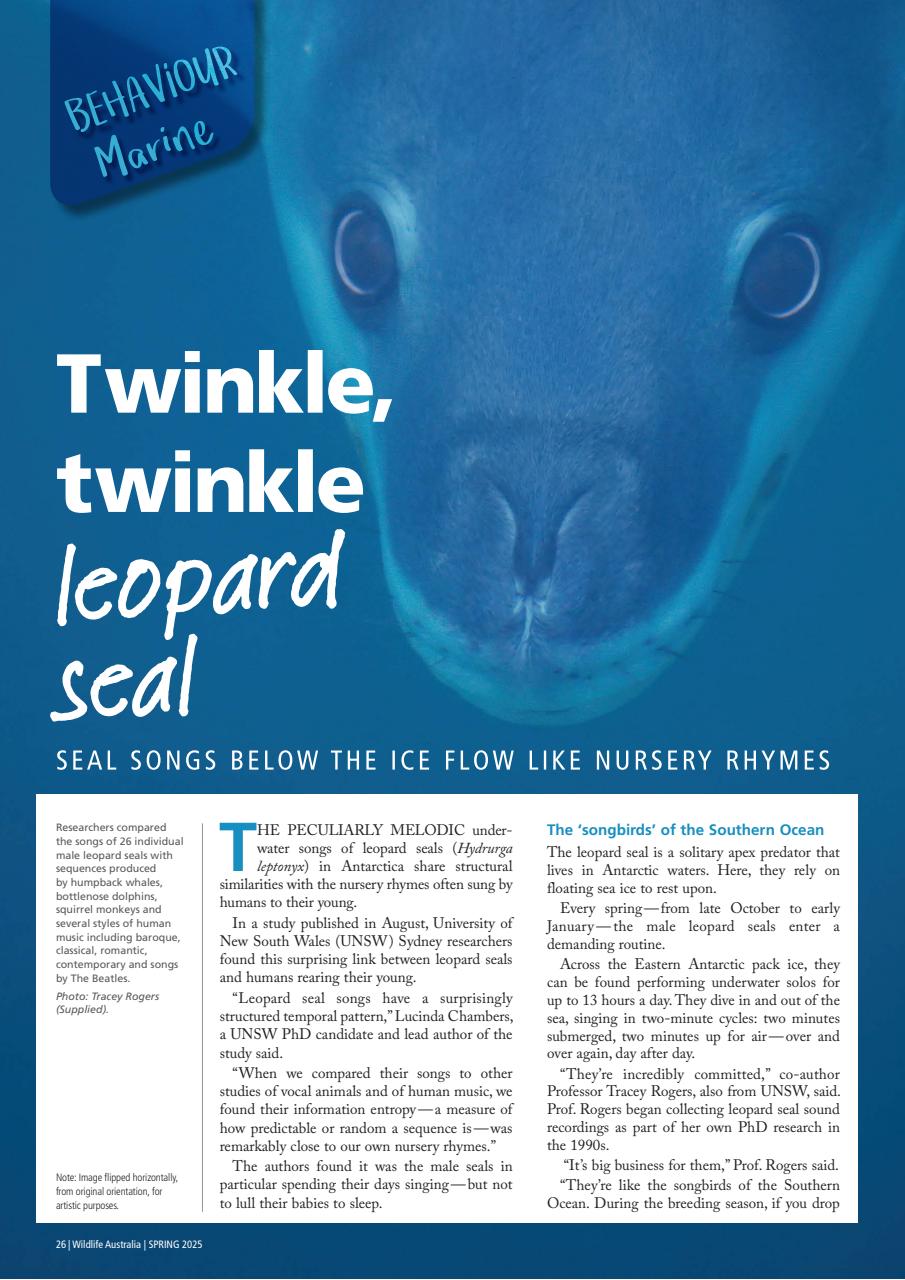 Wildlife Australia Preview Pages