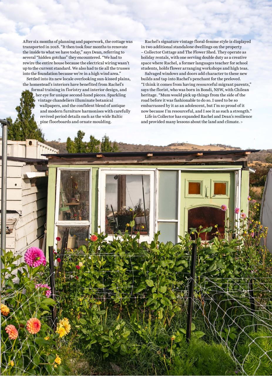 Country Style Preview Pages