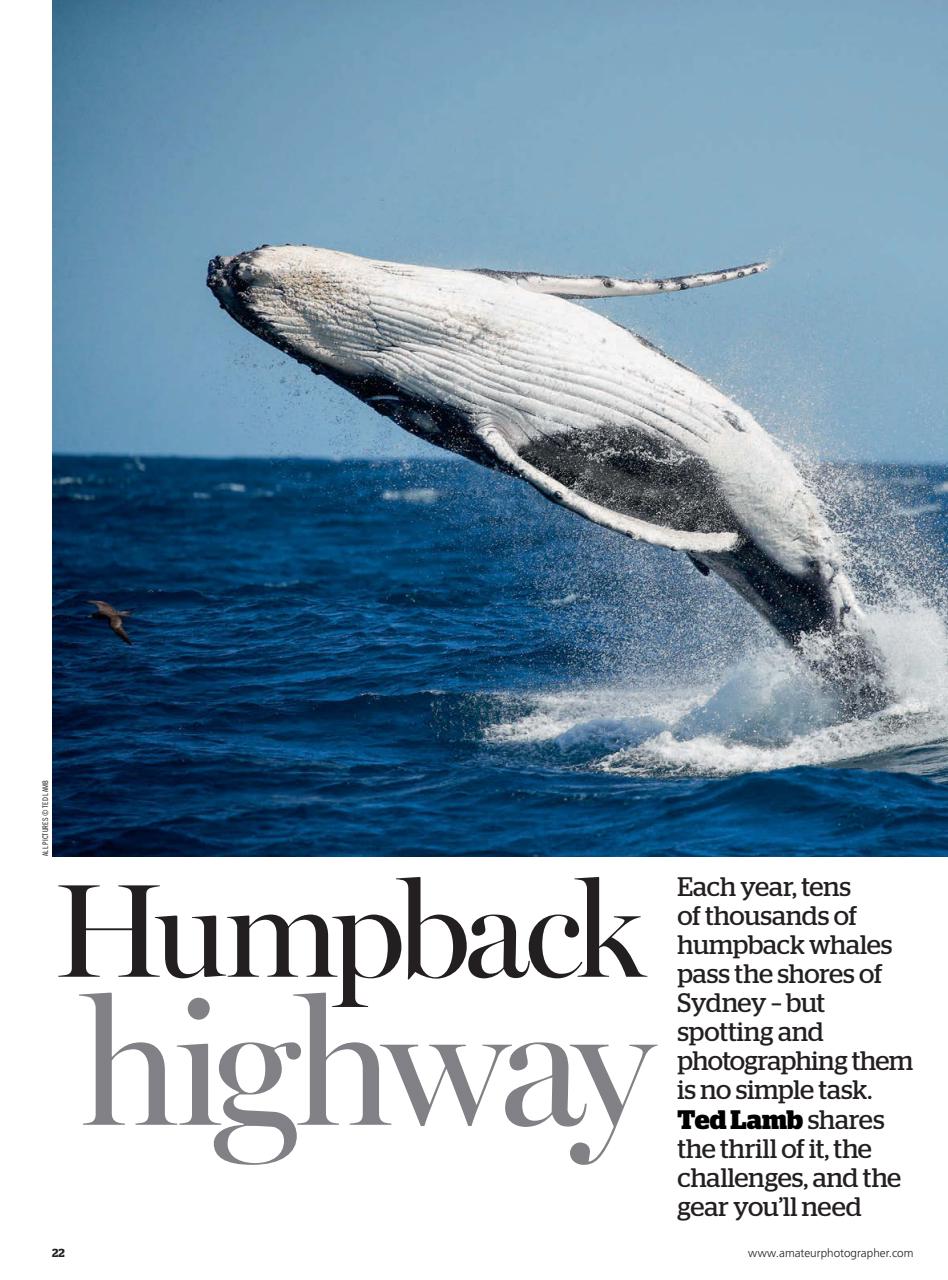 Amateur Photographer Preview Pages