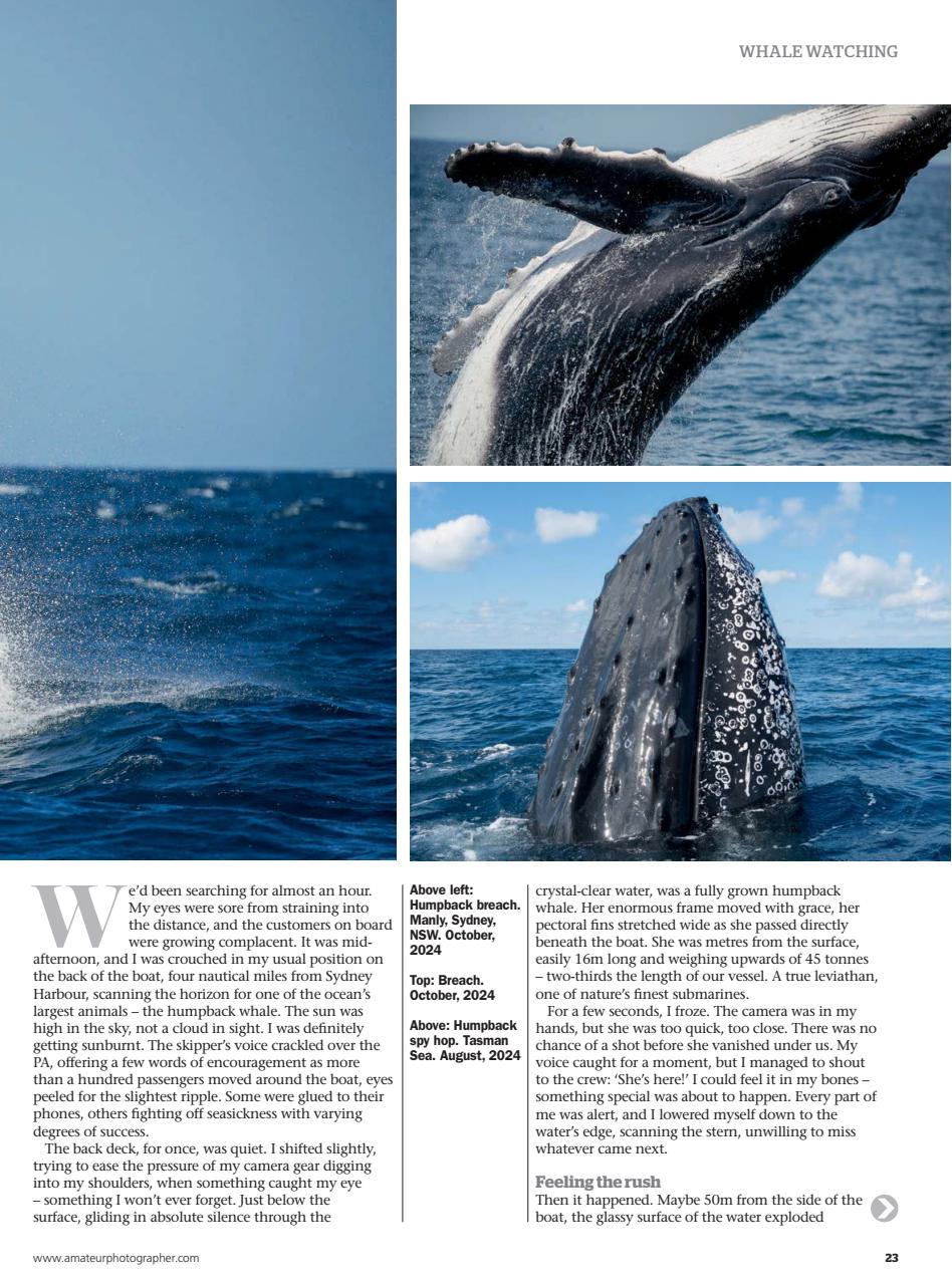 Amateur Photographer Preview Pages