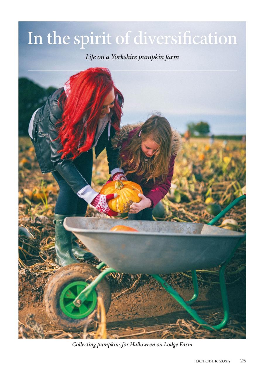 The Yorkshire Dalesman Preview Pages