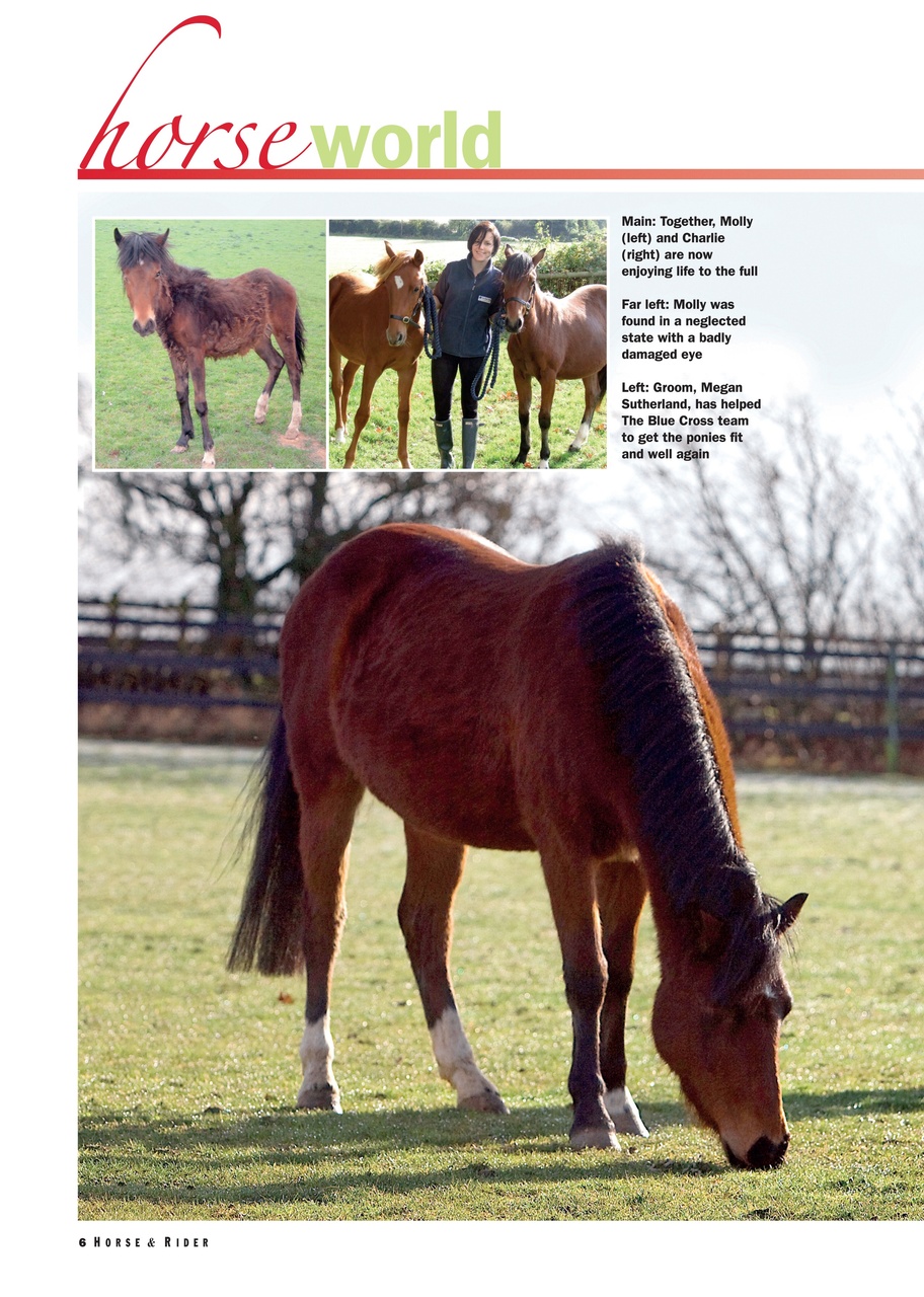 Horse&Rider Magazine - UK equestrian magazine for Horse and Rider Preview Pages