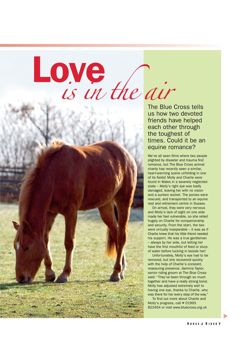 Horse&Rider Magazine - UK equestrian magazine for Horse and Rider Preview Pages