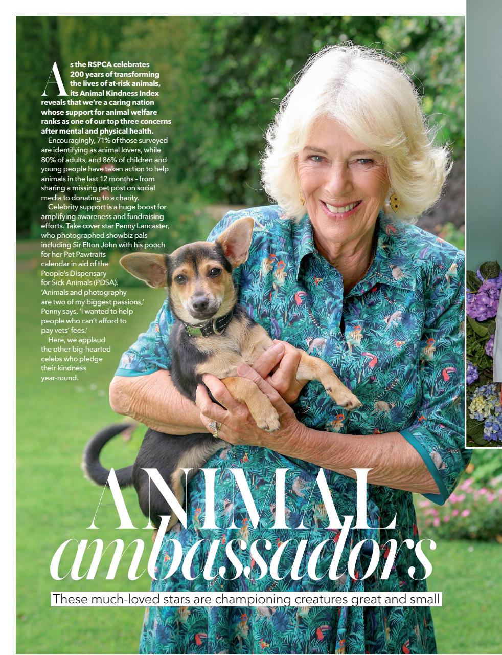 Woman & Home Preview Pages