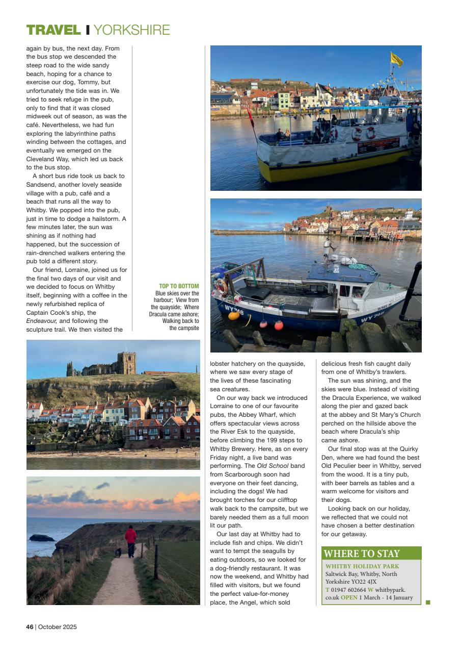 Caravan Magazine Preview Pages