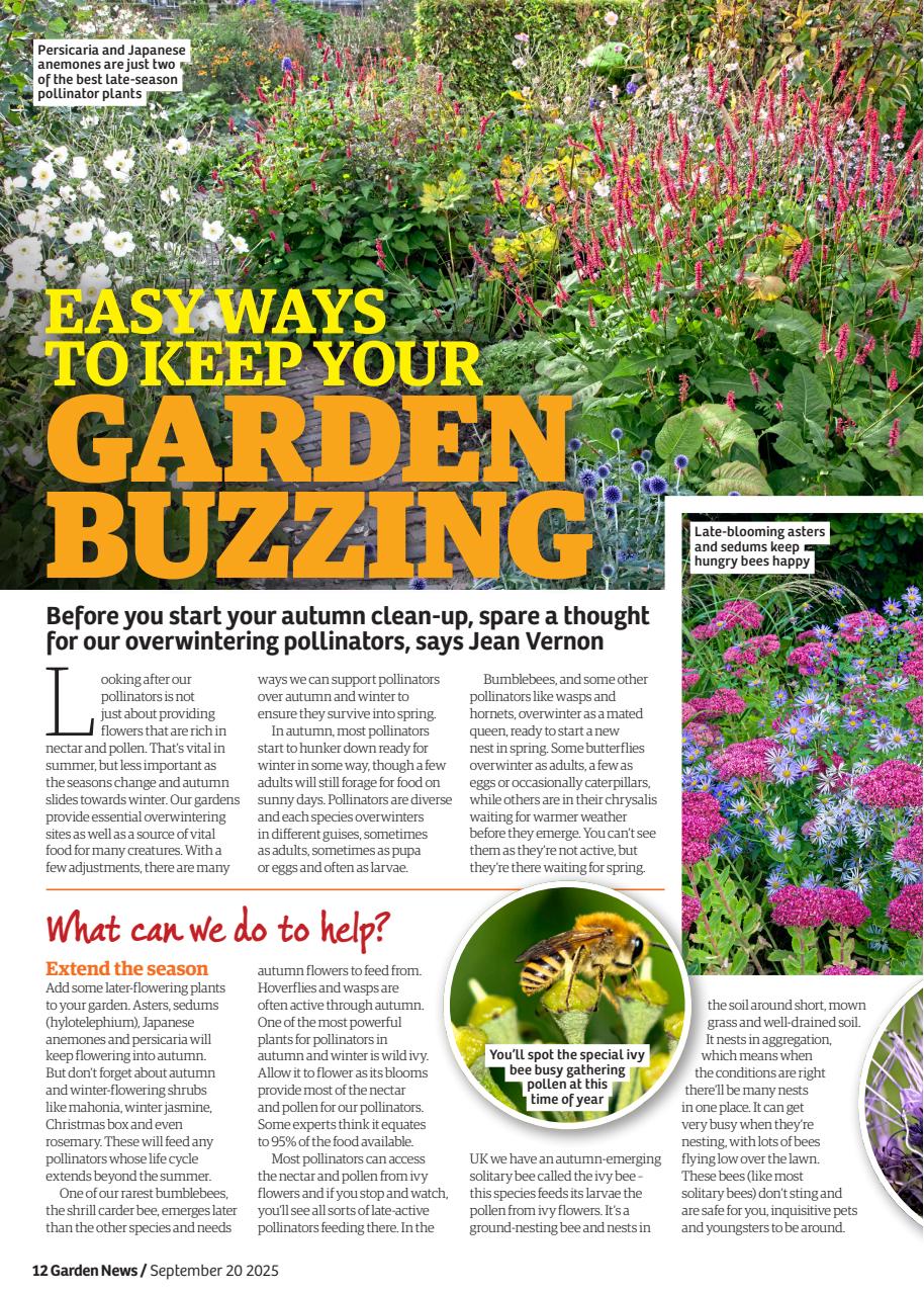 Garden News Preview Pages