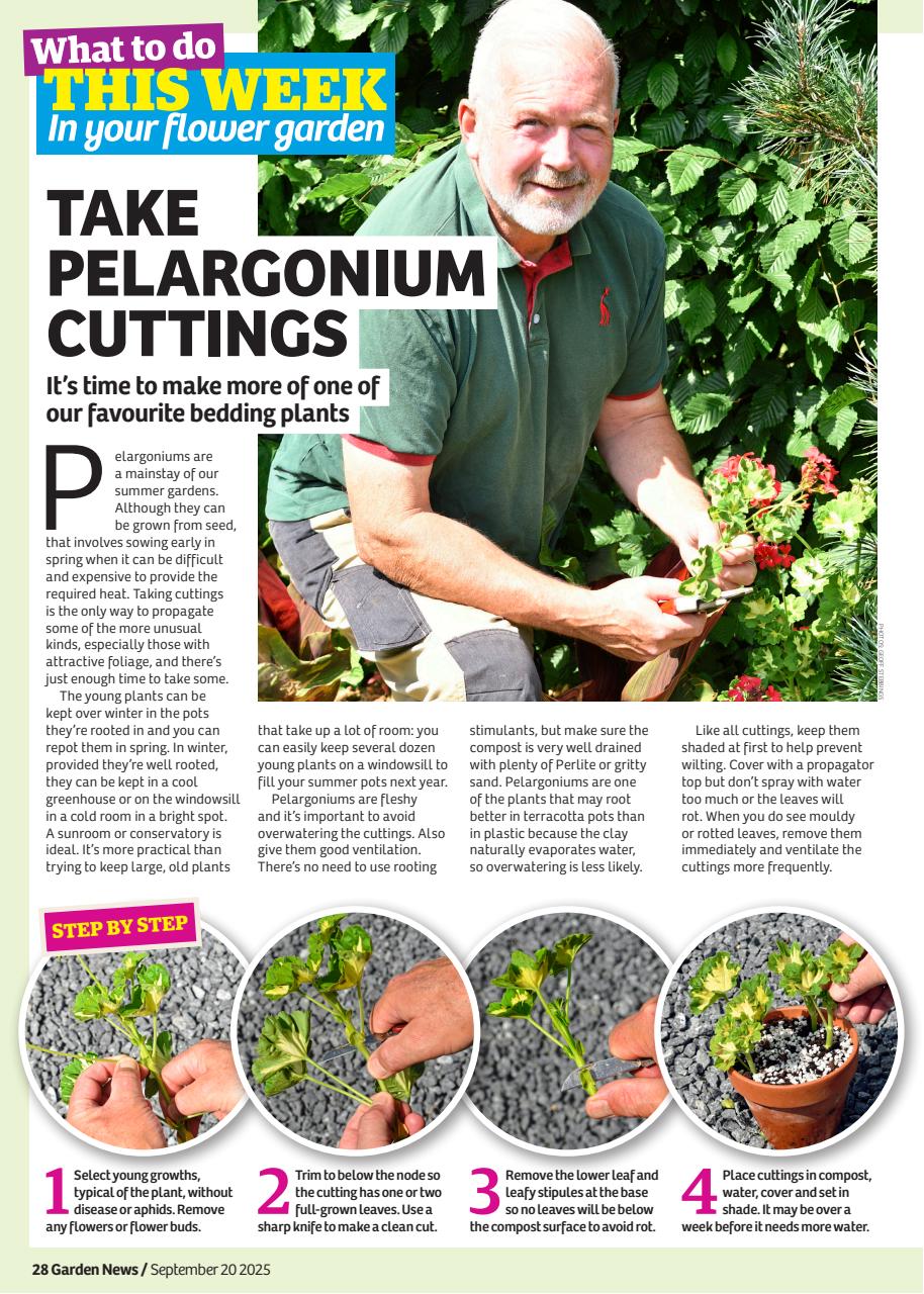 Garden News Preview Pages