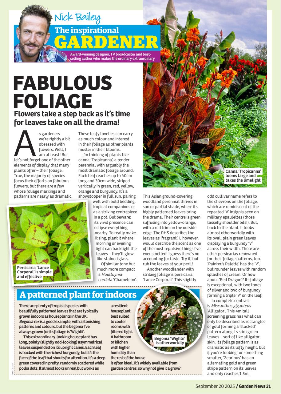 Garden News Preview Pages