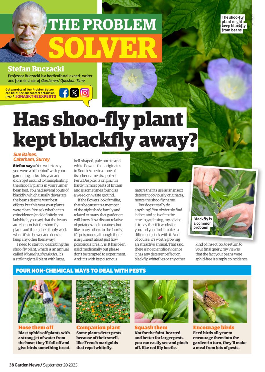 Garden News Preview Pages