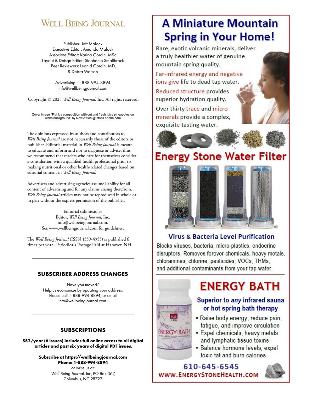 Well Being Journal Preview Pages