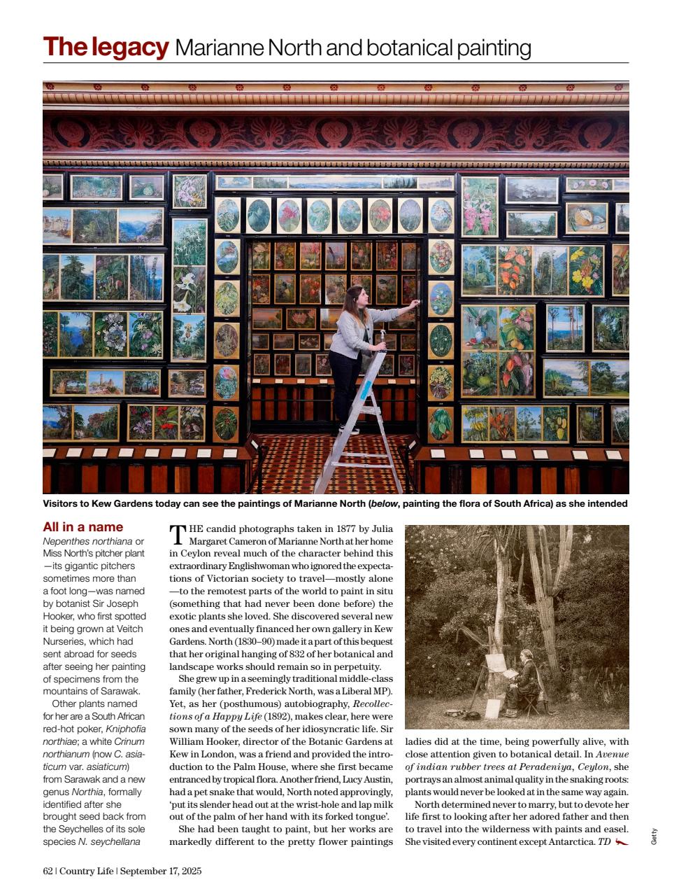 Country Life Preview Pages