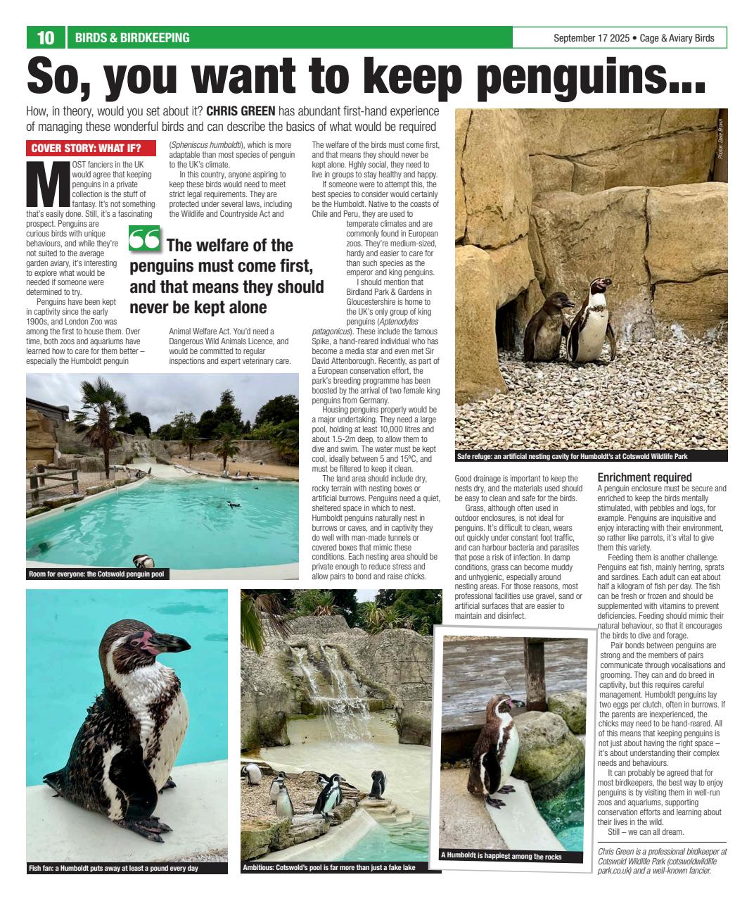 Cage & Aviary Birds Preview Pages