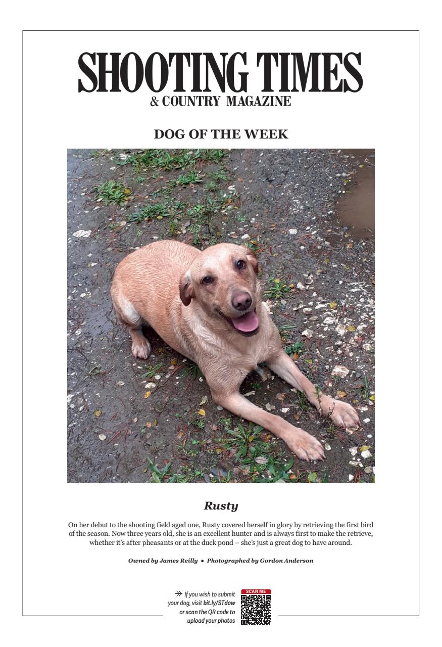 Shooting Times & Country Preview Pages