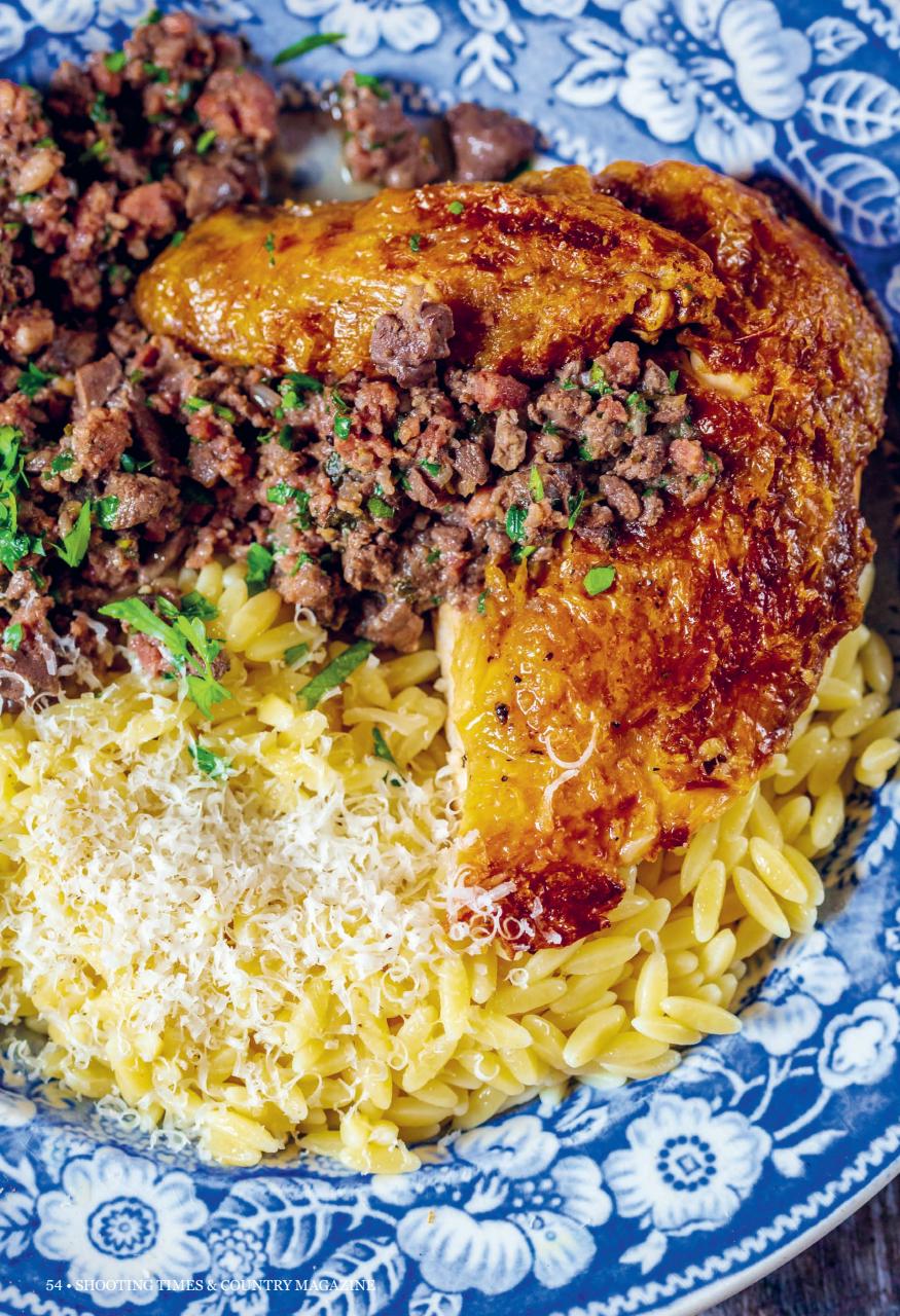 Shooting Times & Country Preview Pages