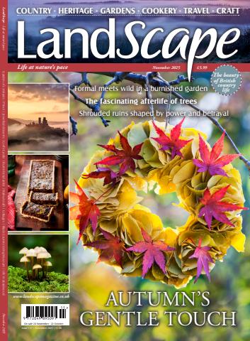LandScape issue Nov-25