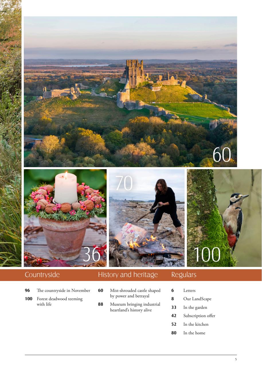 LandScape Preview Pages