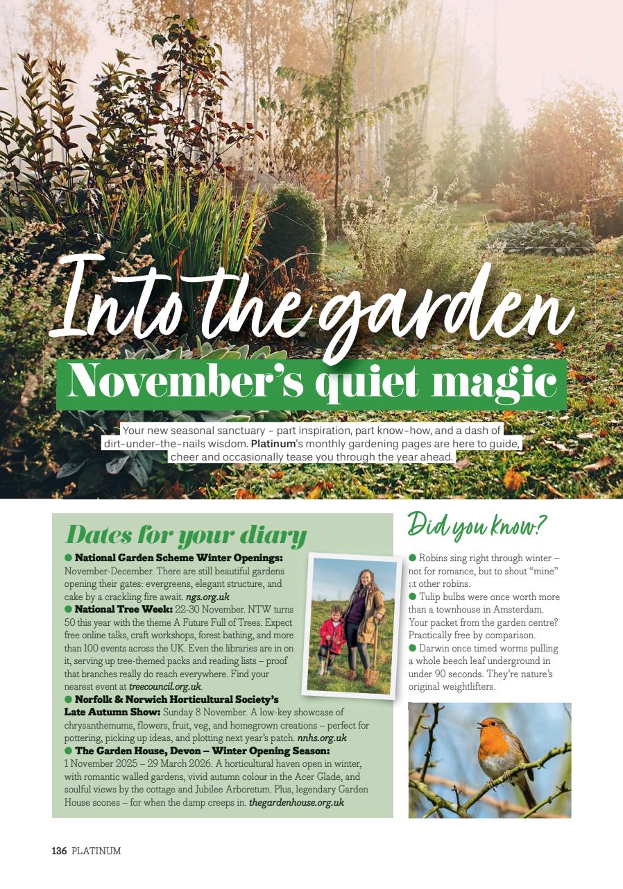 Platinum Preview Pages